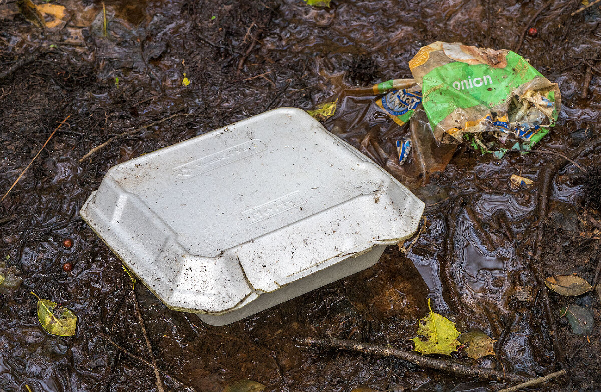 Foam food container